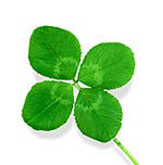 Photo de profil de lor16