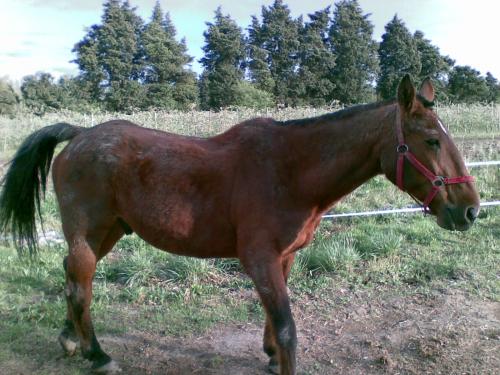 Photo de profil de lulu84