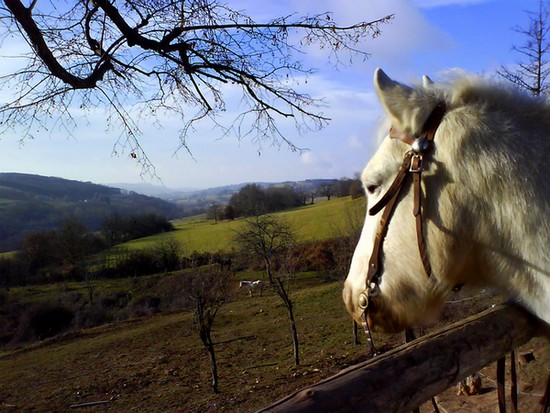 Photo de profil de madiie