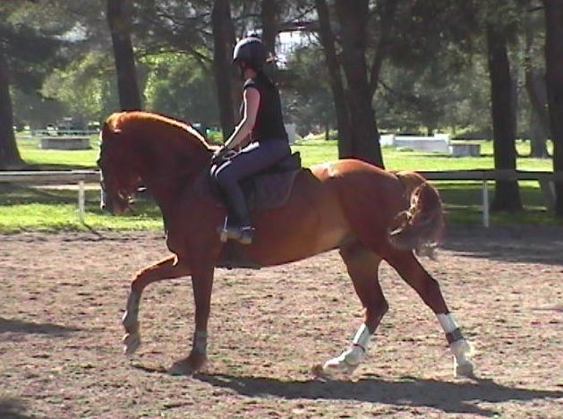 Photo de profil de margot.r13