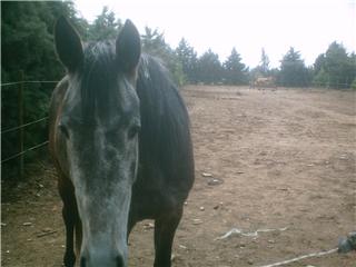 Photo de profil de marie59