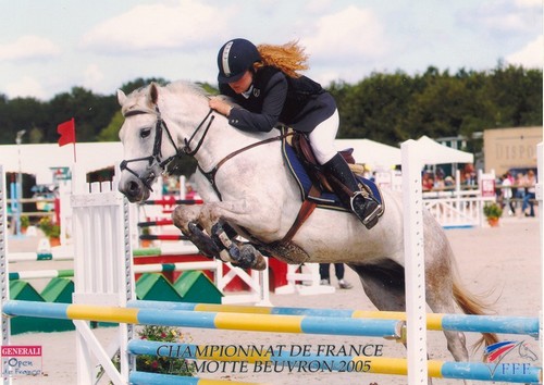 Photo de profil de mikado