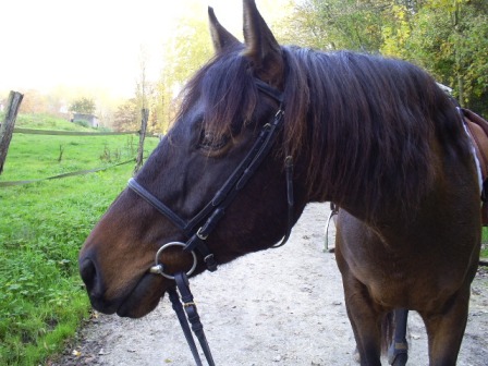 Photo de profil de minimoys77