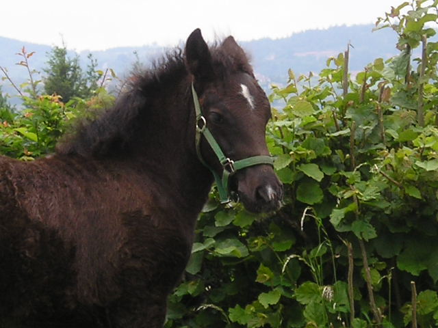 Photo de profil de mishka42