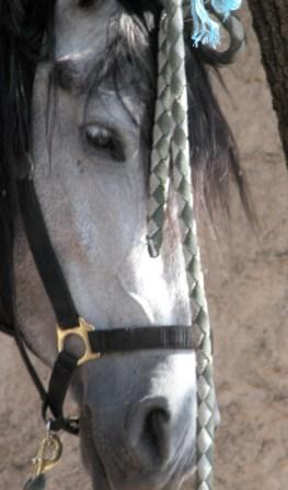 Photo de profil de mistrale17