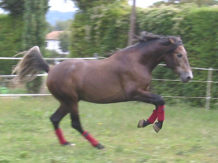 Photo de profil de mohican2008