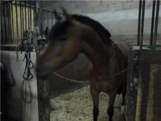 Photo de profil de morganeee