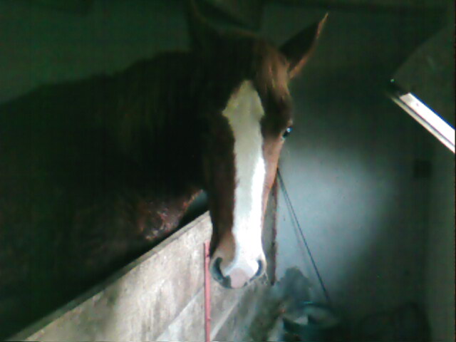 Photo de profil de mumu85230