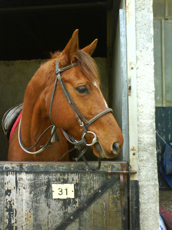 Photo de profil de muru41