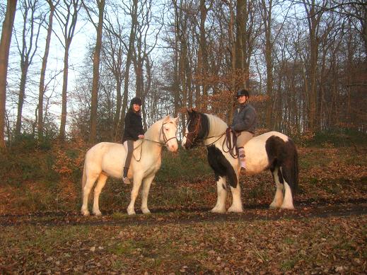 Photo de profil de nomade