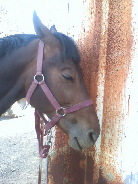 Photo de profil de opendeshouches