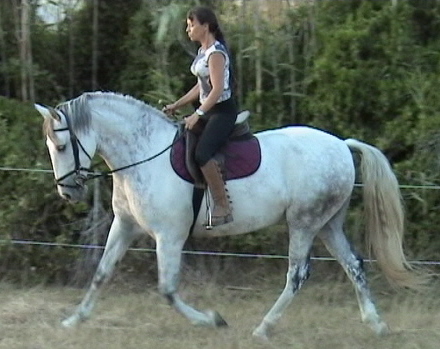 Photo de profil de picou