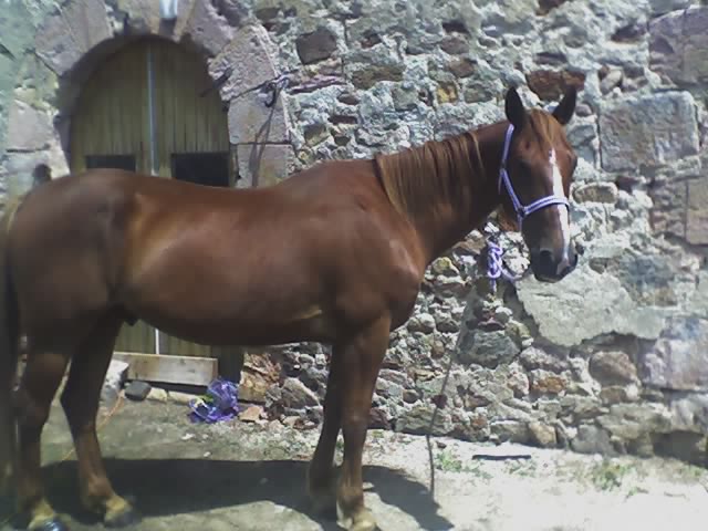 Photo de profil de priisca