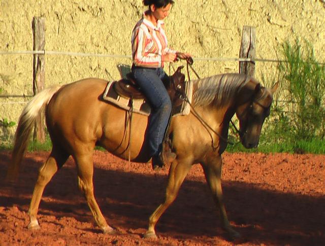 Photo de profil de quarter