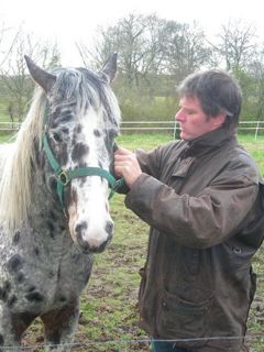 Photo de profil de quenavo