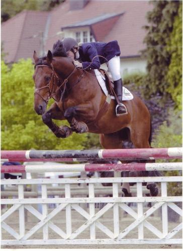 Photo de profil de so13