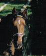 Photo de profil de spikirou