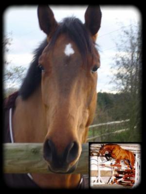 Photo de profil de steph-la-cocinn