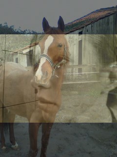 Photo de profil de sybandmaest