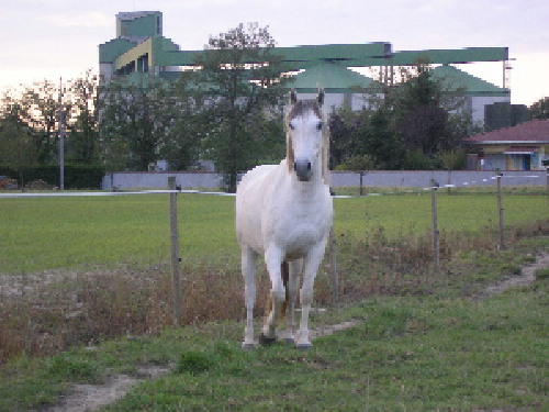 Photo de profil de sylvie32