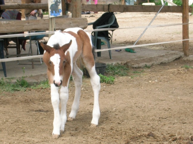 Photo de profil de talou