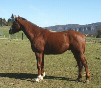 Photo de profil de tili