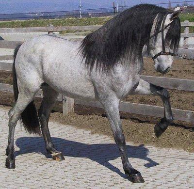 Photo de profil de unicorne283