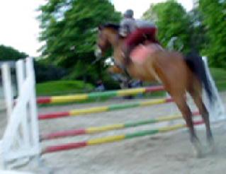 Photo de profil de vanipop