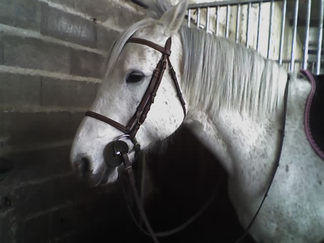 Photo de profil de vegagirl54