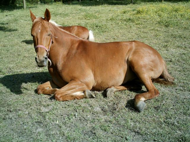 Photo de profil de vio59