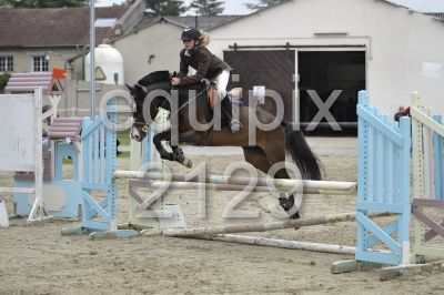 Photo de profil de amourducheval