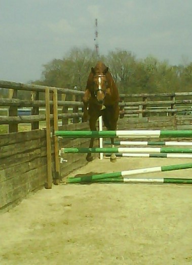 Photo de profil de aureliie_123