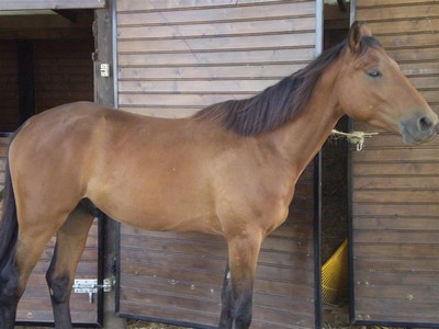 Photo de profil de between789