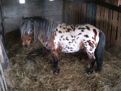 Photo de profil de boy