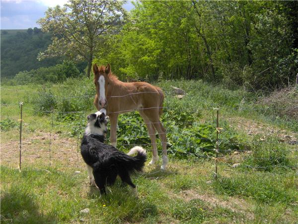 Photo de profil de cabanes12