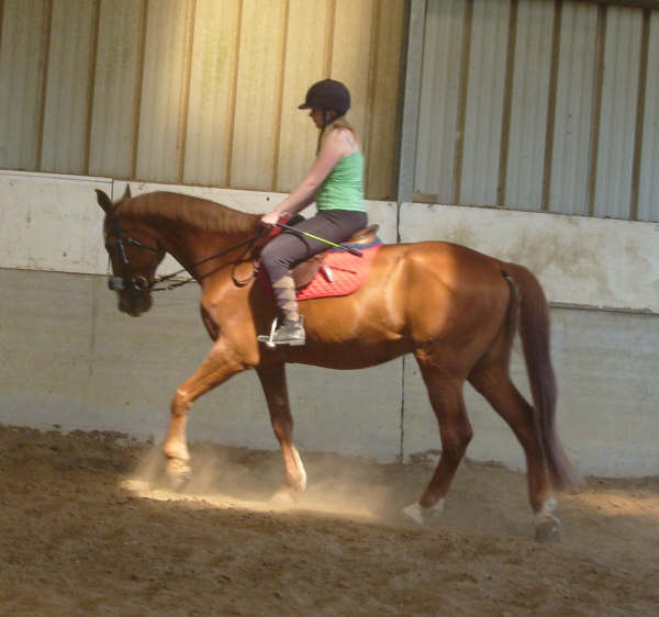 Photo de profil de cloclow62