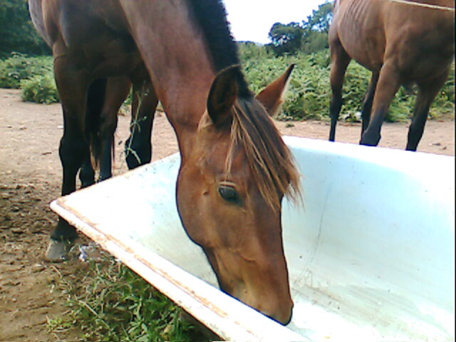 Photo de profil de dine26