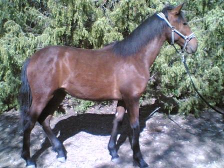 Photo de profil de dune07