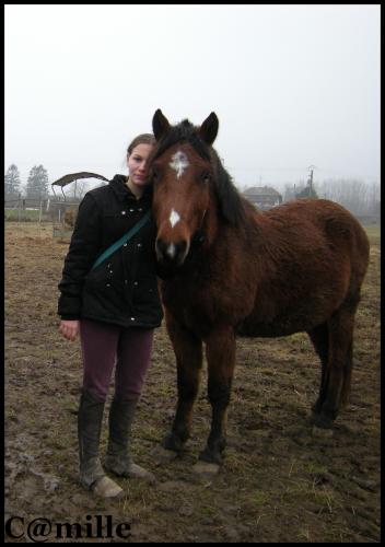 Photo de profil de equitation-mano
