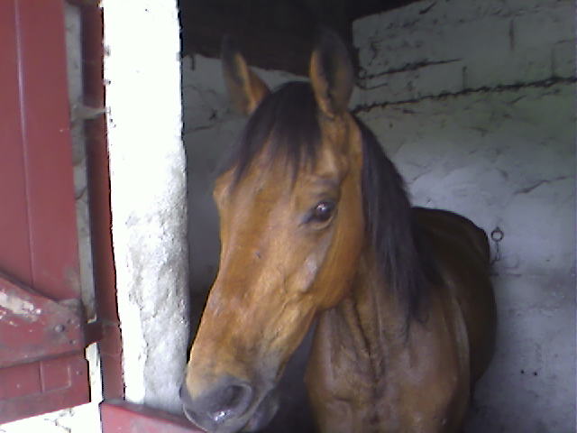 Photo de profil de etienne33