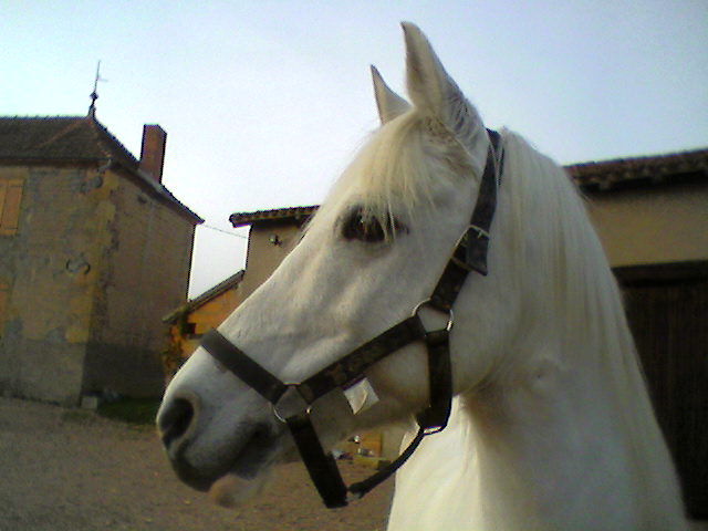 Photo de profil de hajman71