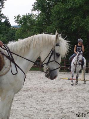 Photo de profil de indianajones