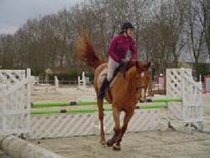 Photo de profil de jbcl