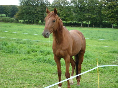 Photo de profil de jess63