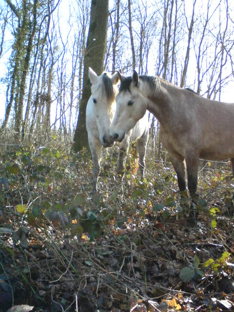 Photo de profil de kankina