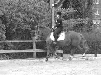 Photo de profil de kicadi