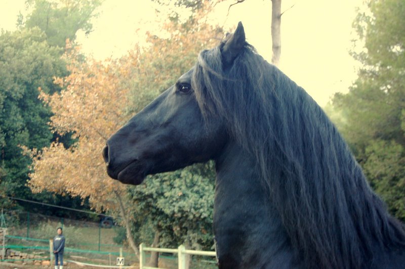 Photo de profil de klaasnoir