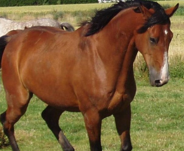 Photo de profil de lapollet