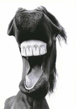 Photo de profil de lidididou06