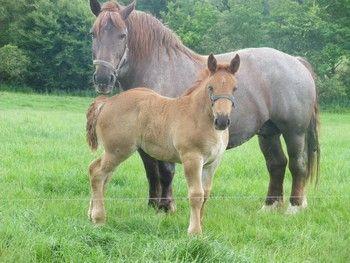 Photo de profil de loicsteunou